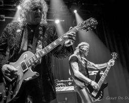 Y&T-11/10/2025