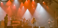 Les Nuits Botanique 2024 - Yard Act + guests - Absurde en maffe utopie
