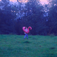 Pourtant, Gabrielle Verleyen…