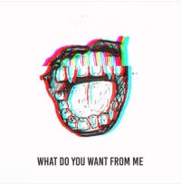 What Do You Want From Me –single-