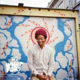 Concerne Toro Y Moi