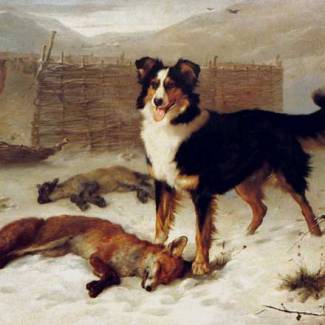 The Big Hunt