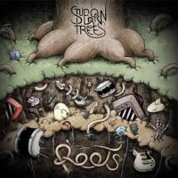 Stubborn Trees : l’arbre qui cache la forêt…
