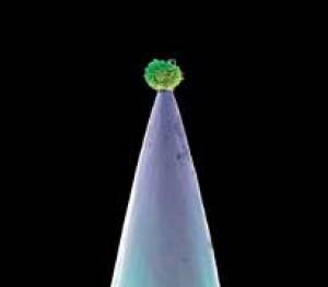 Gabriel remplit la scène de ‘nouveau sang’