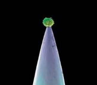 Gabriel remplit la scène de ‘nouveau sang’