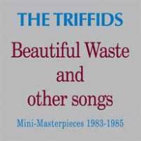 Beautiful waste and other songs