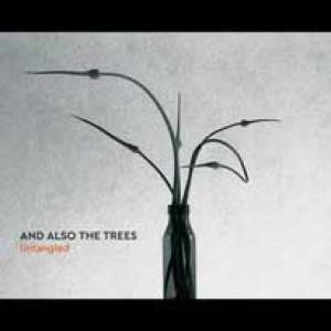 Une compile pour And also the Trees…