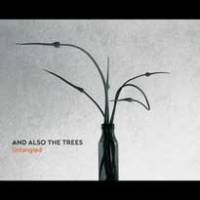 Une compile pour And also the Trees…