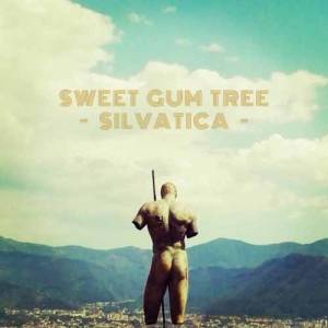 Un liseron des bois grimpe sur le Sweet Gum Tree…