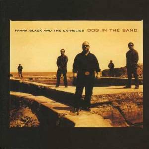 Dog in the sand