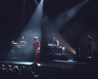 Ozark Henry - ‘Birthmarks’, 20 jaar later in een strakker jasje