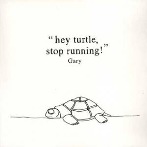 Hey Turtle, Stop Running!