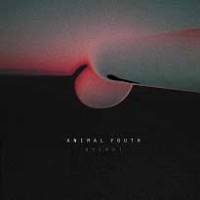 Animal Youth annonce un premier album vinyle