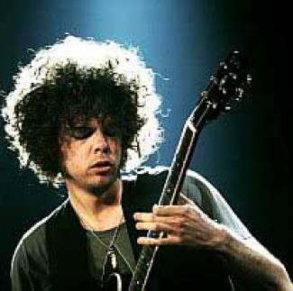 Wolfmother als echte wolven