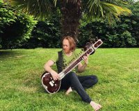 La sous-puissance veloutée de Sweet Gum Tree