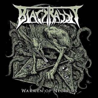 Warren Of Necrosis