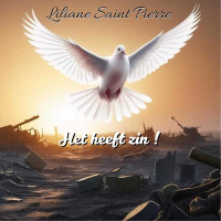 Het Heeft Zin -single-