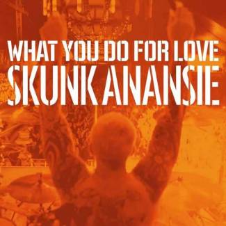 What You Do For Love -single-