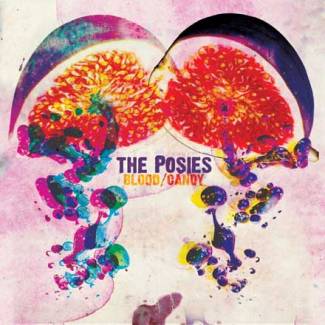 The Posies pas encore finis…