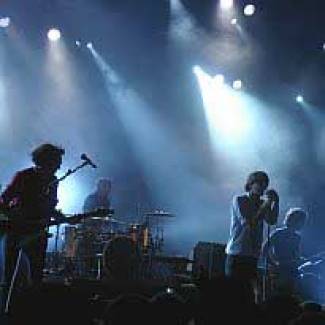 Phoenix: Over de grens op handen gedragen!