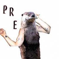 Pre noisy ou post noisy ?