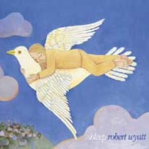 Schleep (2008)