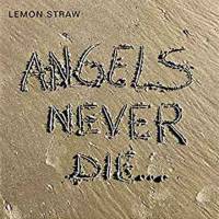 Le Puzzle de Lemon Straw