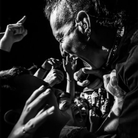 Better Lovers, ’68, Greyhaven, Kavka Oudaan, Antwerpen op 24 september 2025 – Pics