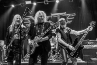 Y&amp;T, Kreun, Kortrijk op 11 oktober 2025 – Pics