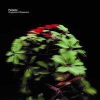 Fragments Of Expansion 