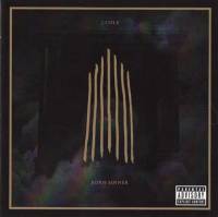 Born Sinner