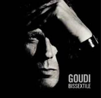 L’année Bissextile de Goudi