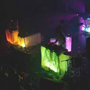 Animal Collective: eigenzinnig, nerveus, rommelig en aanstekelijk