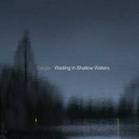 Wading in Shallow Waters