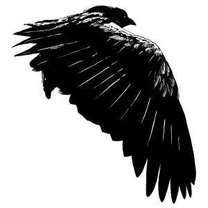 Somnia -single-  