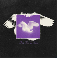 And Now It Shows -single-