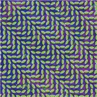 Une bonne résolution d’Animal Collective pour 2009…