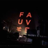 N’est pas Fauve ` qui veut !
