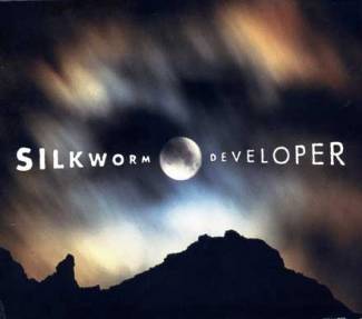 Developer