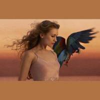Joanna Newson – Een boeiende, wondere muzikale wereld