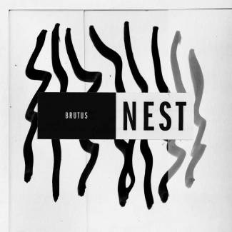 Nest 
