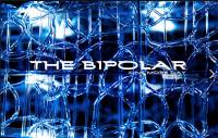 The Bipolar: un nouveau projet bruxellois très prometteur