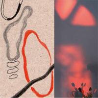 Les métadonnées de Woolvs…