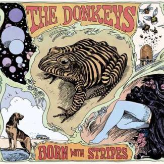 Collaboration musicale entre The Donkeys et Born With Stripes