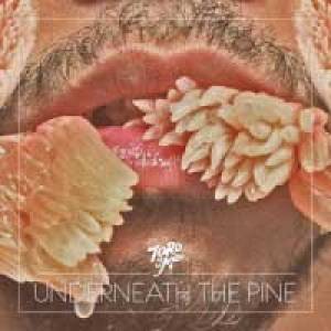Toro Y Moi, clap 2e