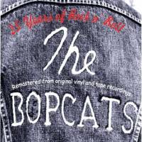 25 years of rock’n’roll