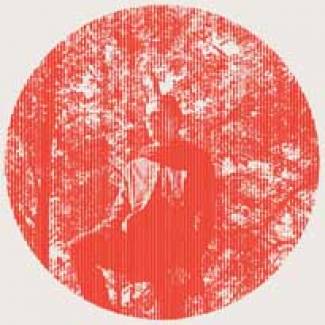 Owen Pallett a du Coeur