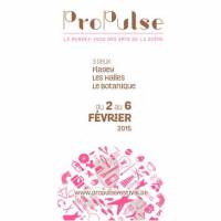 ProPulse 2015 : mercredi 4 février