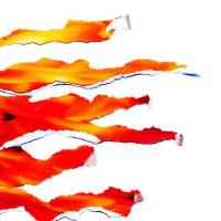 Les cendres de Bertier…