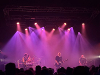 Fink - Fink in de Grand Mix - Tussen rust en slaap